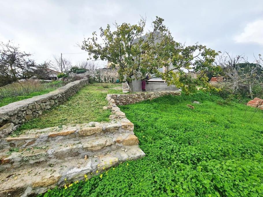 Hidden Gem Of 1900, 7Km From Sea Villa Potamos  Ngoại thất bức ảnh